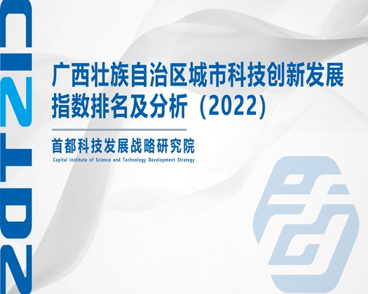 插进去了爱爱爱【成果发布】广西壮族自治区城市科技创新发展指数排名及分析（2022）